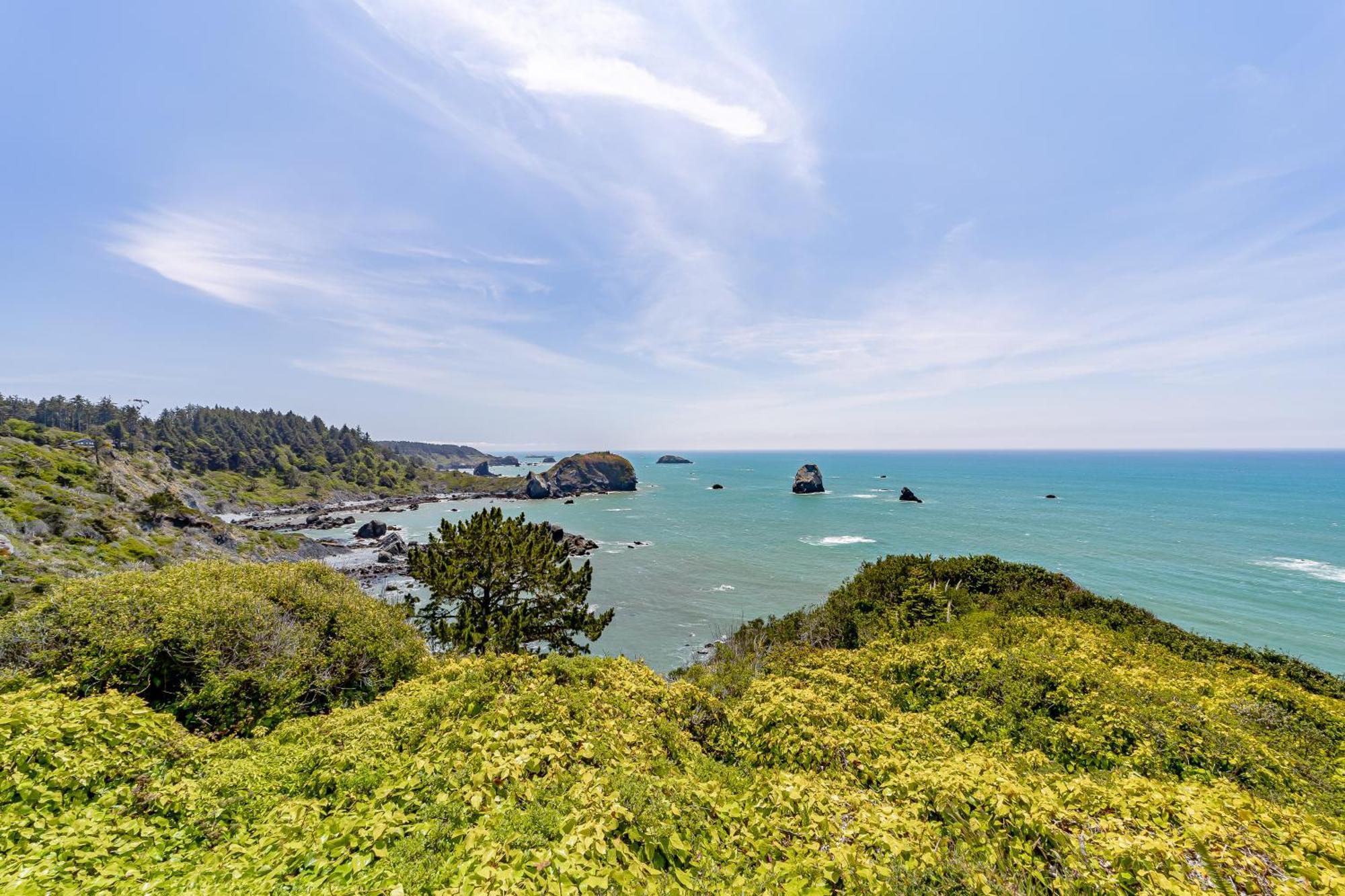 Whale Rock Suites Trinidad Bilik gambar